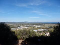183 HYERES ET SES PALMIERS D15_000020